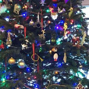 Meet your Posher, Meaghan